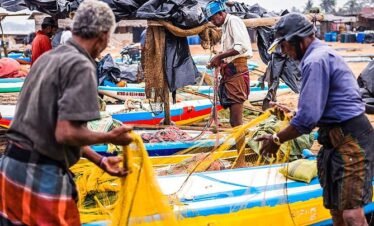 negombo-fish-market-tourhubtravel.jpg