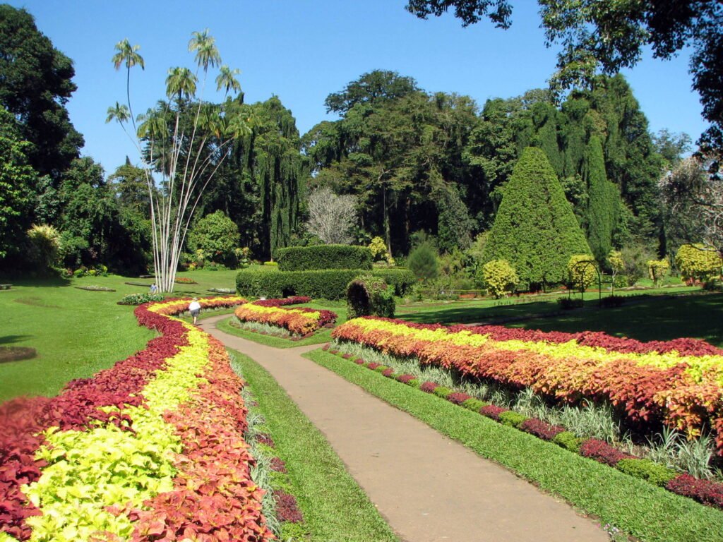 royal-botanic-gardens-peradeniya-tourhubtravel-scaled.jpg