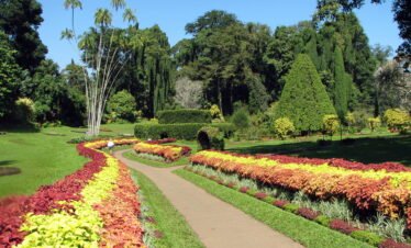 royal-botanic-gardens-peradeniya-tourhubtravel-scaled.jpg